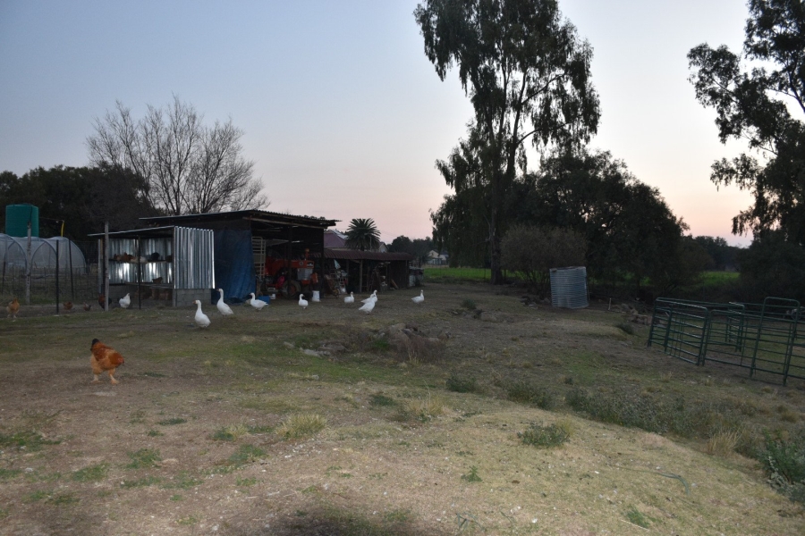 3 Bedroom Property for Sale in Rouxville Free State
